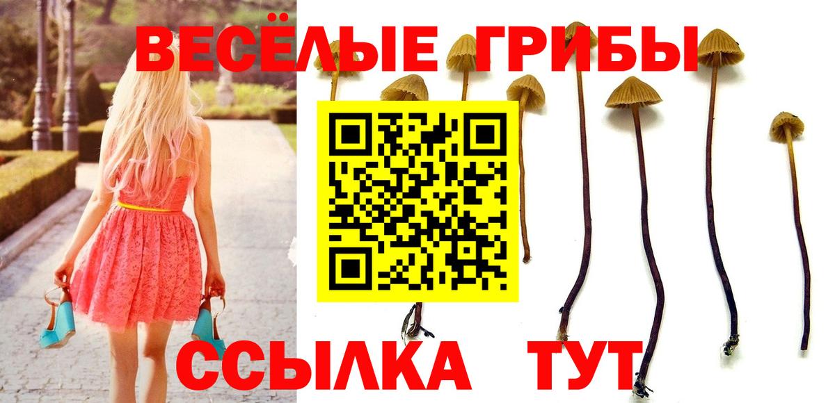 цены наркотик  Псилоцибиновые грибы мухоморы  Вход с VPN  Красный Сулин 